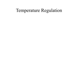Temperature Regulation - Eastern Michigan University