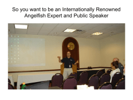 So you want to be an Internationally Renown Angelfish