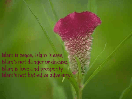 ISLAM IS HERE (POEM) - Prophet Muhammad (S.A.W.) for All