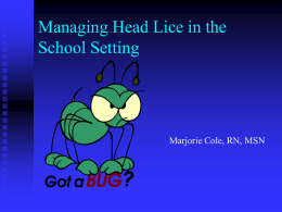 Managing Head Lice in the Schools