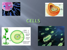 AP Biology Ch. 6 Cells - Anoka