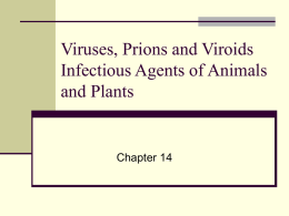 Viruses, Prions and Viroids Infectious Agents of Animals