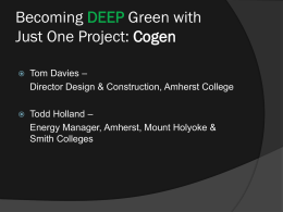 Becoming DEEP Green with Just One Project: Cogen