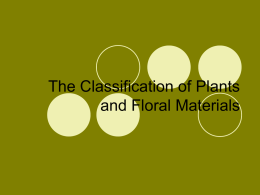 The Classification of Plant and Floral Materials