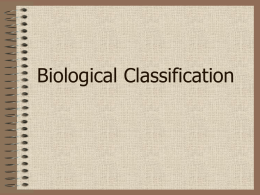 Seven Levels of Taxonomic Classification