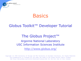 Globus Toolkit Developer Tutorial: Basics