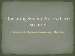 Operating System Process Level Security