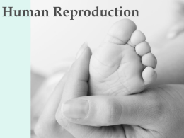Human Reproduction - Salisbury Composite High School