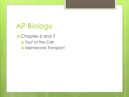 AP Biology - ReicheltScience.com