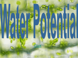 Water Potential - Rahway Public Schools