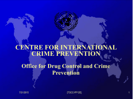 United Nations Crime Prevention and Criminal Justice Programme