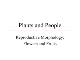Plants and People - Texas A&M Department of Biology