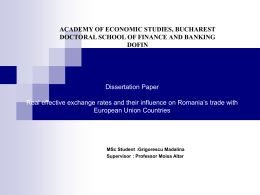 Dissertation Paper Real effective exchange rates and their