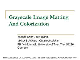 Grayscale Image Matting And Colorization
