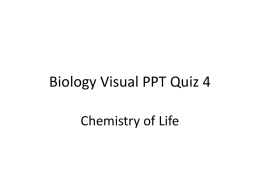Biology Visual PPT Quiz 4