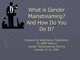 What is Gender Mainstreaming?