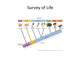 Survey of Life