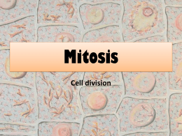 Mitosis and Meiosis - Ms. Petrauskas' Class