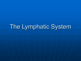 The Lymphatic System - North Seattle College