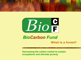 BioCarbon Fund