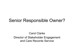 Senior Responsible Owner?
