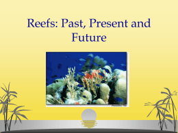 Reefs: Past, Present and Future