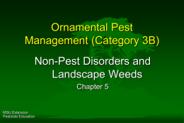 Non-Pest Disorders & Landscape Weeds