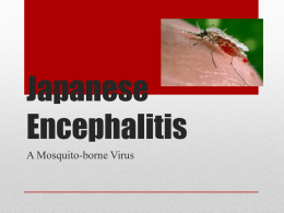 Japanese Encephalitis - Life Science Academy