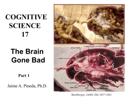 Schizophrenia - UCSD Cognitive Science