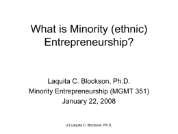 What is Minority (ethnic) Entrepreneurship?