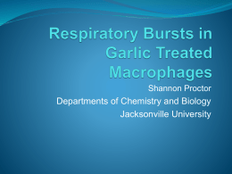 Respiratory Bursts in Garlic Treated Macrophages