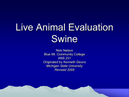 Live Animal Evaluation Swine