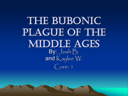 THE BUBOnIC PLAGUE OF THE MIDDLE AGES