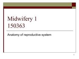 Midwifery 1 150363
