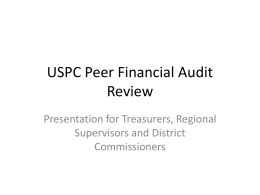 Peer Audit Review