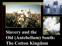 Chapter 11 Slavery and the Old South
