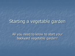 Starting a vegetable garden