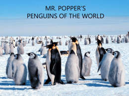 Penguins - Novel Studies