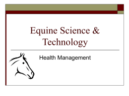 Equine Science & Technology