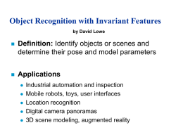 Object Recognition from Local Features of Intermediate