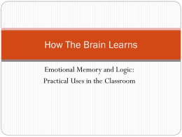 How The Brain Learns - Professor Savard's Class Support Site