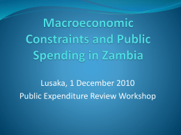 Zambia: Macroeconomic Constraints, Evolution and Access to