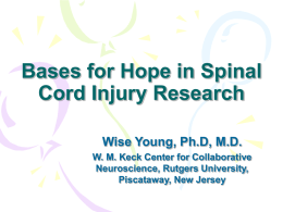 PowerPoint Presentation - Spinal Cord Injury Research 2003