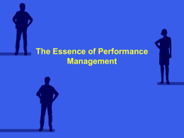 THE ESSENCE OF PERFORMANCE MANAGEMENT