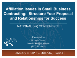 Affiliation Issues in Small Business Contracting