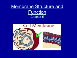 Membrane Structure and Function Chapter 8