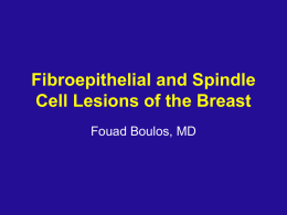 Fibroepithelial and Spindle Cell Lesions of the Breast