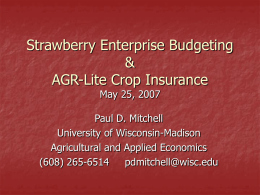 Strawberry Enterprise Budgeting & AGR