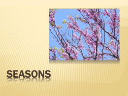 seasons - cap.ru