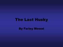 The Last Husky - Spectrum Staff